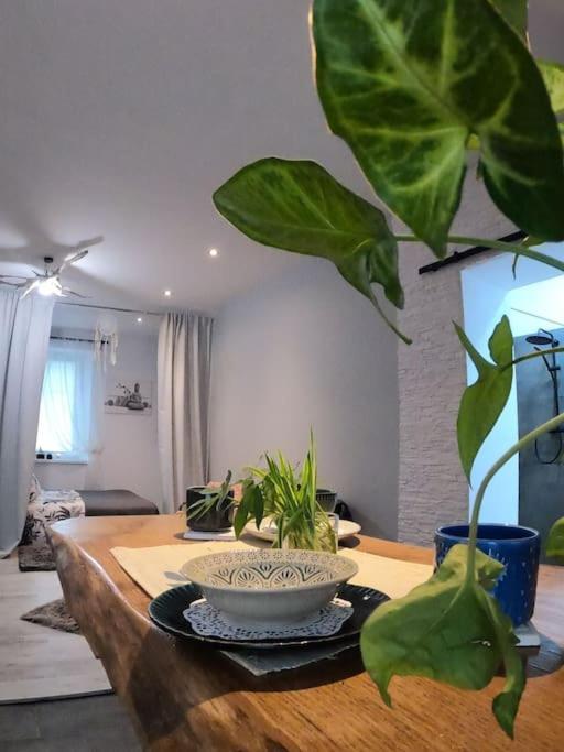 Urocze Studio W Sercu Cieplic Warmbrunn Extérieur photo